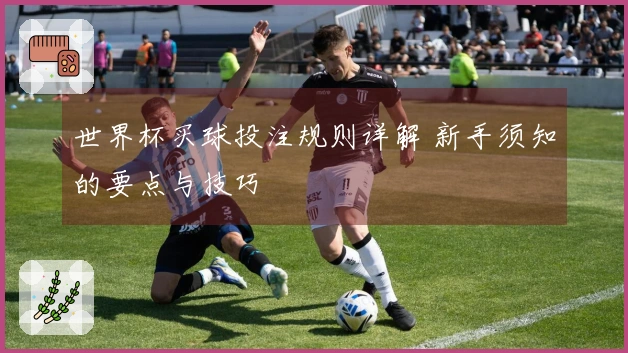 世界杯买球投注规则详解 新手须知的要点与技巧