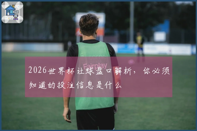 2026世界杯让球盘口解析，你必须知道的投注信息是什么