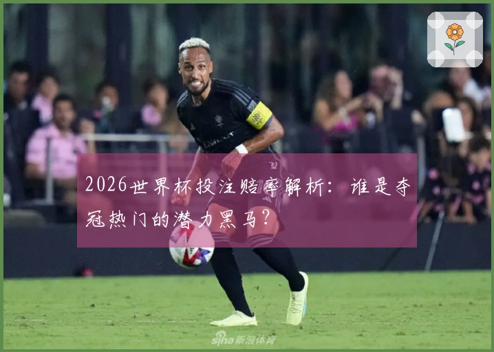 2026世界杯投注赔率解析：谁是夺冠热门的潜力黑马？