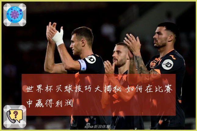 世界杯买球技巧大揭秘 如何在比赛中赢得利润