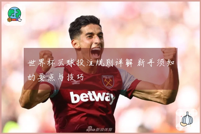 世界杯买球投注规则详解 新手须知的要点与技巧