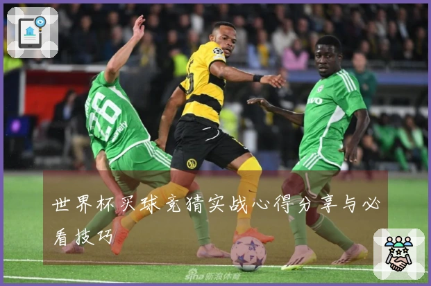 世界杯买球竞猜实战心得分享与必看技巧