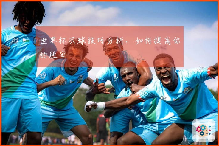 世界杯买球技巧分析，如何提高你的胜率